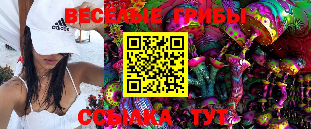 Псилоцибиновые грибы Cubensis  Вход с VPN  купить  сайты  Магнитогорск 
