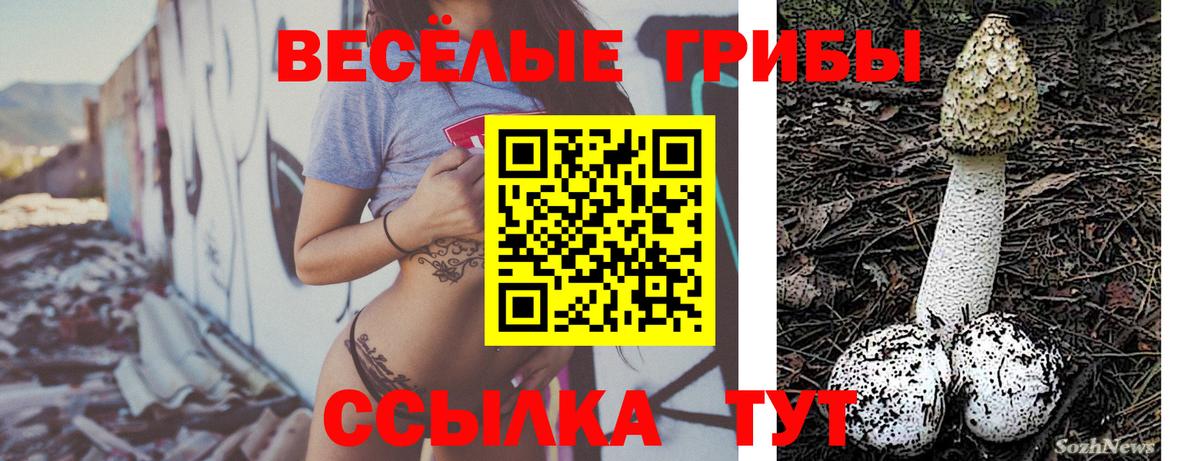 Псилоцибиновые грибы ЛСД Магнитогорск